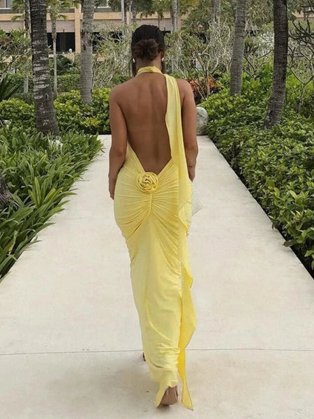 Long Party Dresses for Women Elegant Sexy Floral - Applique Halter Backless Maxi Dress Summer Clothes 2024 C83 - CE37 - AUDIO BOOKS - audio - books - book