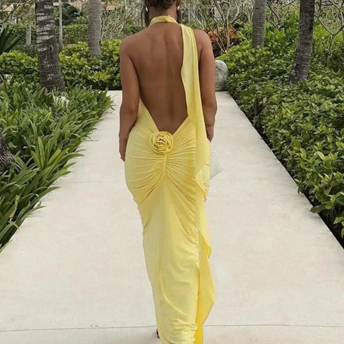 Long Party Dresses for Women Elegant Sexy Floral - Applique Halter Backless Maxi Dress Summer Clothes 2024 C83 - CE37 - AUDIO BOOKS - audio - books - book